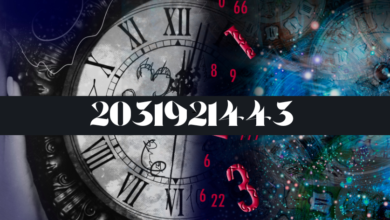 The Power of Numerology: Decoding 2031921443 and Its Impact on Your Life