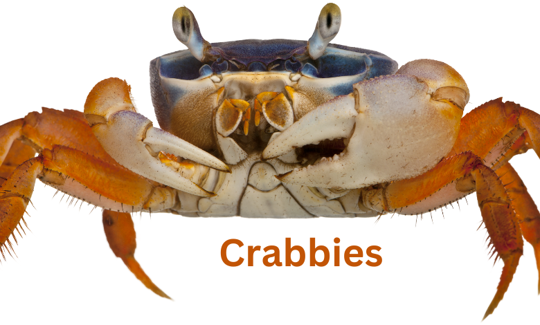 crabnibbie