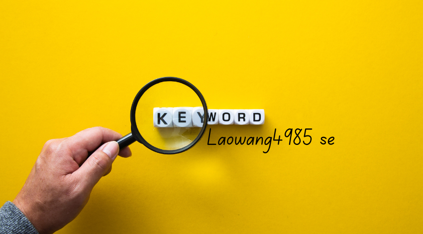 laowang4985 se