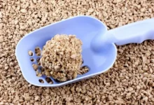 Cat Litter Bulk Supplies for Sale: A Smart Solution for Pet Owners